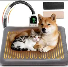 Item thumbnail for item f134b3f2-13cc-4d17-9bf7-0236e4fab676