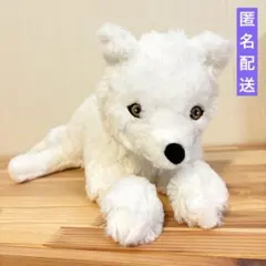 IKEA ホッキョクギツネ ぬいぐるみ SKOGSDUVA（スコグスデューヴァ）のサムネイル