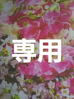 ぶーちゃん様専用お取り置き 他の方は購入をお控え下さい