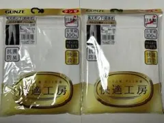 【美品】グンゼ 長ズボン下(前あき) KQ3002 Lサイズ 白 2組セット
