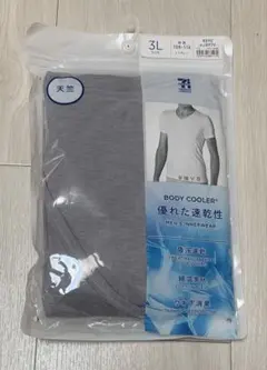 Item thumbnail for item 91039a99-6237-4066-b91f-e165d51323d6