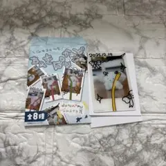 じょせまる ちぇきぽいど アクリルカード