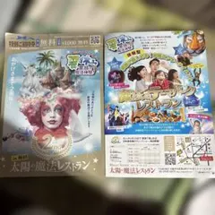 マジックソレイユ 太陽の魔法レストラン 特別招待券 2枚 10月10日期限のサムネイル