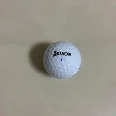 Item thumbnail for item e3d7e782-b578-4a39-b303-3814a19e9c32