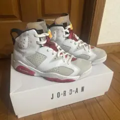 NIKE AIR JORDAN 6 RETRO ナイキ エアジョーダン6
