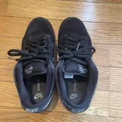 Nike SB ダンクブラックプロ　スニーカー