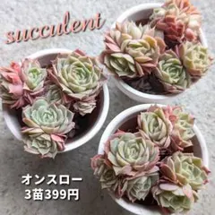 みちひな様 リクエスト 2点 まとめ商品