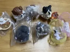 ミニチュアねこ