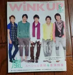 wink up 2013年6月号