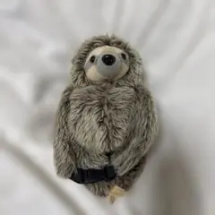 パスケース