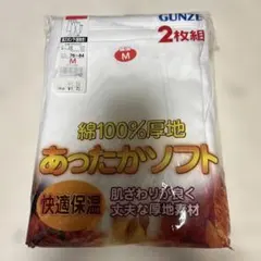GUNZE 長ズボン下 前あき 2枚組 Mサイズ ホワイト
