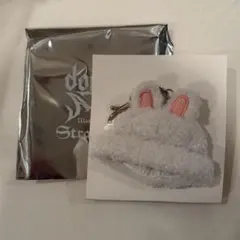 Stray Kids リービット ランダム ミニ ボアキャップ リノ