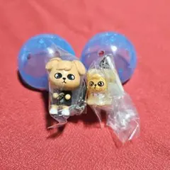 SKZOO つまんでつなげてますこっと でらっくす！ PuppyM ガチャ ②