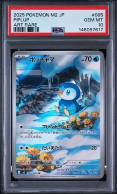 2026年最新】ポッチャマ psa10の人気アイテム - メルカリ