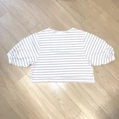 フリーサイズ　earth music&ecology の半袖ボーダー