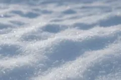 レモンさん専用