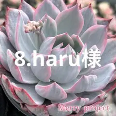 10.nanoko様 - メルカリ
