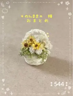 ＊のんまま＊様 リクエスト 2点 まとめ商品