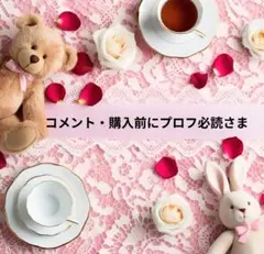 コメント・購入前にプロフ必読様 リクエスト 2点 まとめ商品