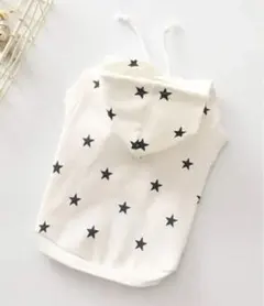 Item thumbnail for item 070f9ae6-adab-46c0-8cdf-17eae319ea92