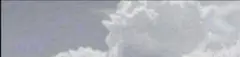 yu様ご専用となります☆*