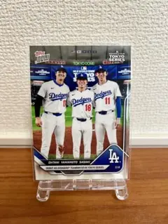 Item thumbnail for item e3a48ac7-772d-4ab8-b22c-a6df43456a03