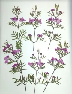 Item thumbnail for item 83a95d97-2797-4cac-8633-69b40e311179