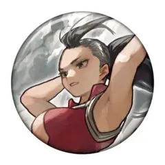 ヒロアカ　コレクション缶バッジ　EXTREME【八百万】