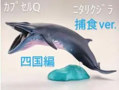 長鬚鯨 捕食版 膠囊Q 四國篇 內袋未開封品 海洋堂