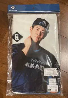 【新品】松本剛　We love Hokkaido タオル #7