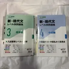 新・現代文レベル別問題集