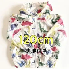 ウインドブレーカー裏地付き 120cm 手書き風恐竜柄 ゆったりサイズ
