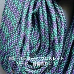 Item thumbnail for item fc0cdd56-ba12-4b17-9a99-a41e92c15891