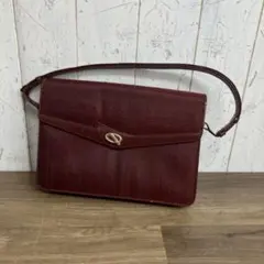3F【極美品・希少】GINO FERRUZZI 馬毛 ショルダーバック ボルドー 