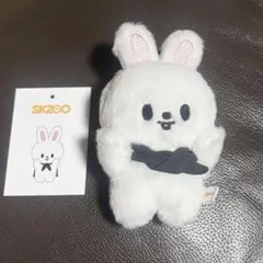 2026年最新】StrayKids skzoo マグネットキーリングの人気アイテム