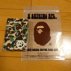 Item thumbnail for item 42d9b0d2-c40b-48a9-9048-68a8f0a78617