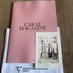 Item thumbnail for item e93d7663-a11d-4c50-a14c-bed5488f1726