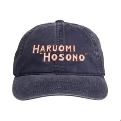 HARUOMI HOSONO 細野晴臣 TROPICAL DANDY キャップ - メルカリ