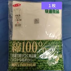 Item thumbnail for item e8aa7582-0f5b-4438-9b86-4da5df9cfb25