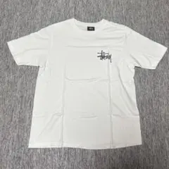 新品 STUSSY KIREEK DMC CHAMPION Tシャツ M - メルカリ