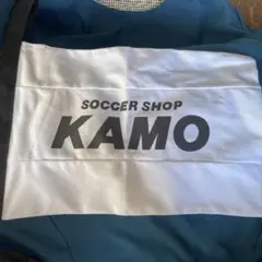 Item thumbnail for item 7bccc78e-63bb-4565-92b2-2c99282987b3