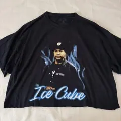 US古着 Ice Cube アイスキューブ　Tシャツ 短丈　カットオフ　NWAのサムネイル