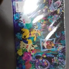 クリアファイル　ポケモンセンター限定　ポケットモンスター