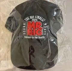 2026年最新】mr.big tシャツの人気アイテム - メルカリ