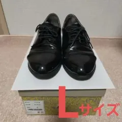 Item thumbnail for item a4e0d6a8-3c87-42c5-ba90-b49f47abb83f