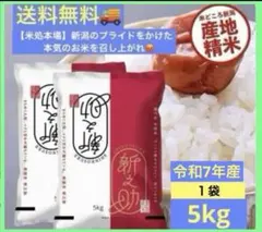 【令和7年産】新潟の新ブランド米『新之助』5kg ★送料無料★のサムネイル