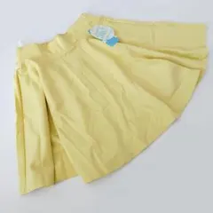 【新品】可愛い ミニスカート 元値3,990円がなんと！   春服