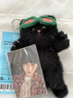 【新品・未使用】ハンテップン キーリング