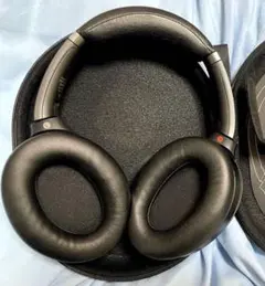 Item thumbnail for item 5439c763-8250-4a42-8e04-75223eb4f0ce