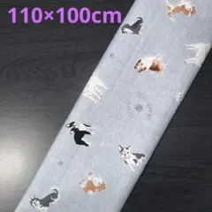 Item thumbnail for item ff894144-0726-4e21-97be-c745036f3af4